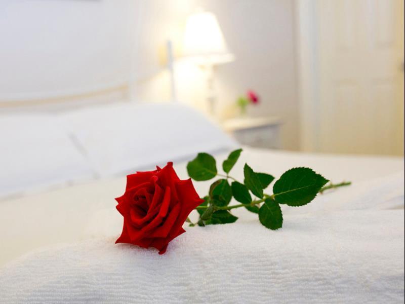 Newcastle'S Bed & Breakfast エクステリア 写真